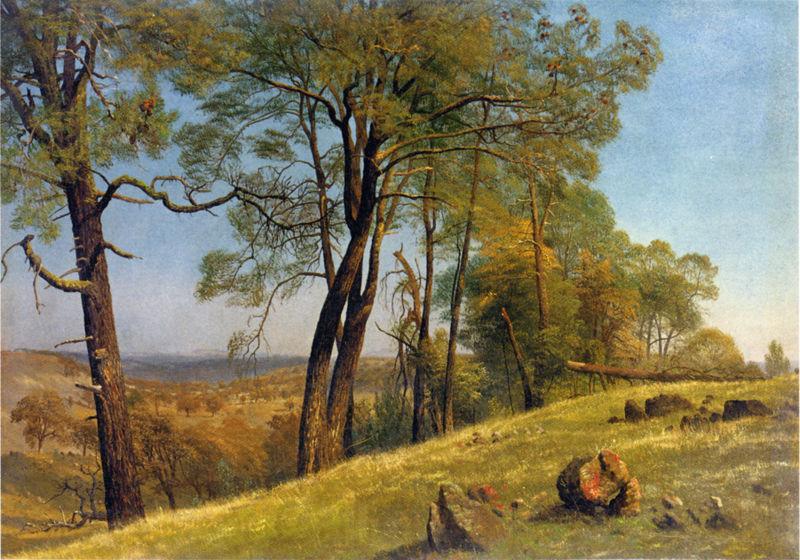 Albert Bierstadt Landscape, Rockland County, California Norge oil painting art